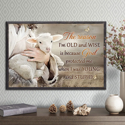 The Reason I'm Old And Wise - Poster