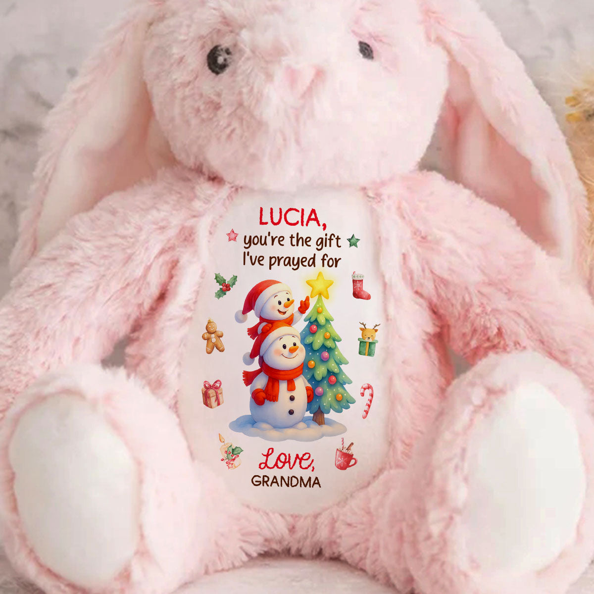 You're The Gift I've Prayed For - Personalized Stuffed Bunny