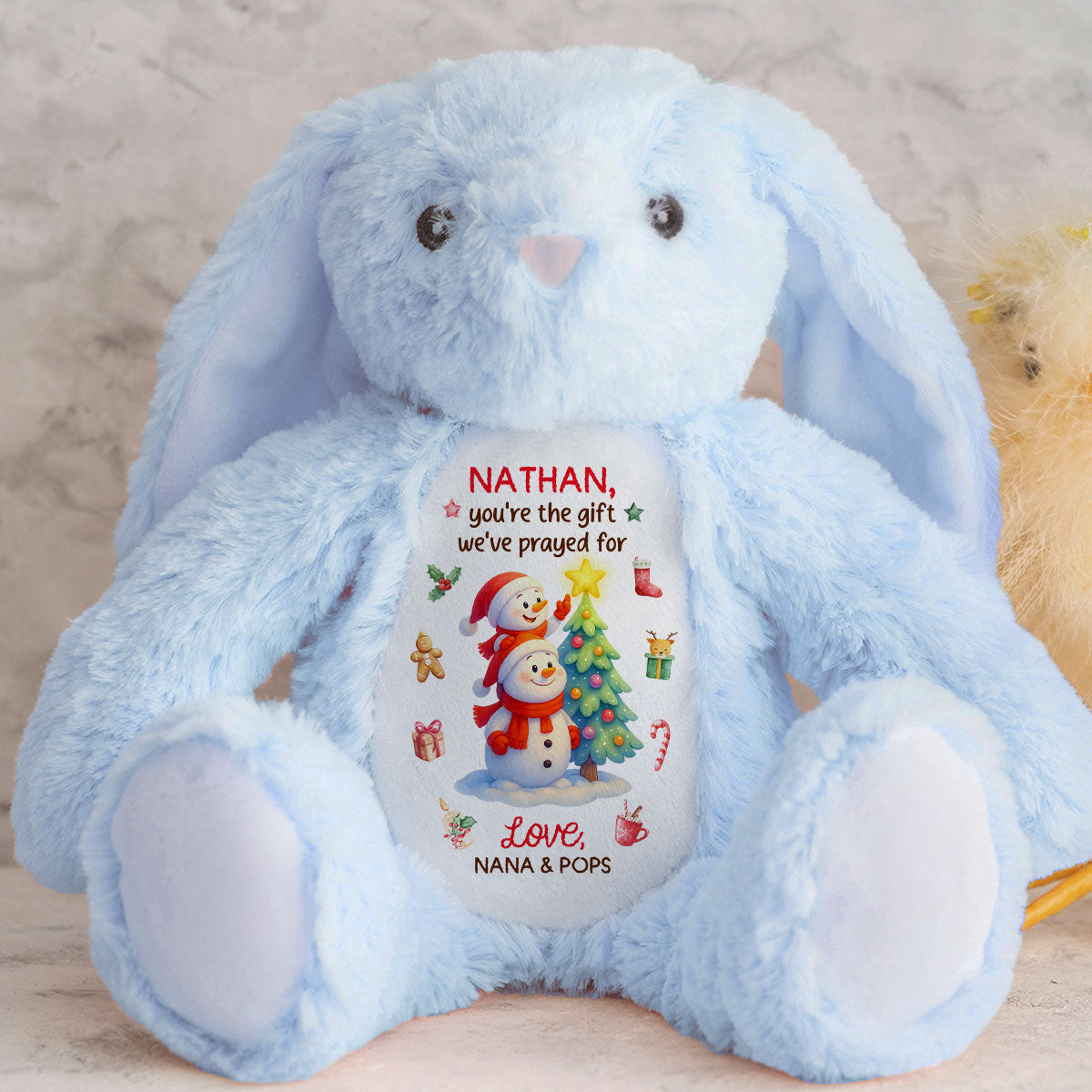 You're The Gift I've Prayed For - Personalized Stuffed Bunny