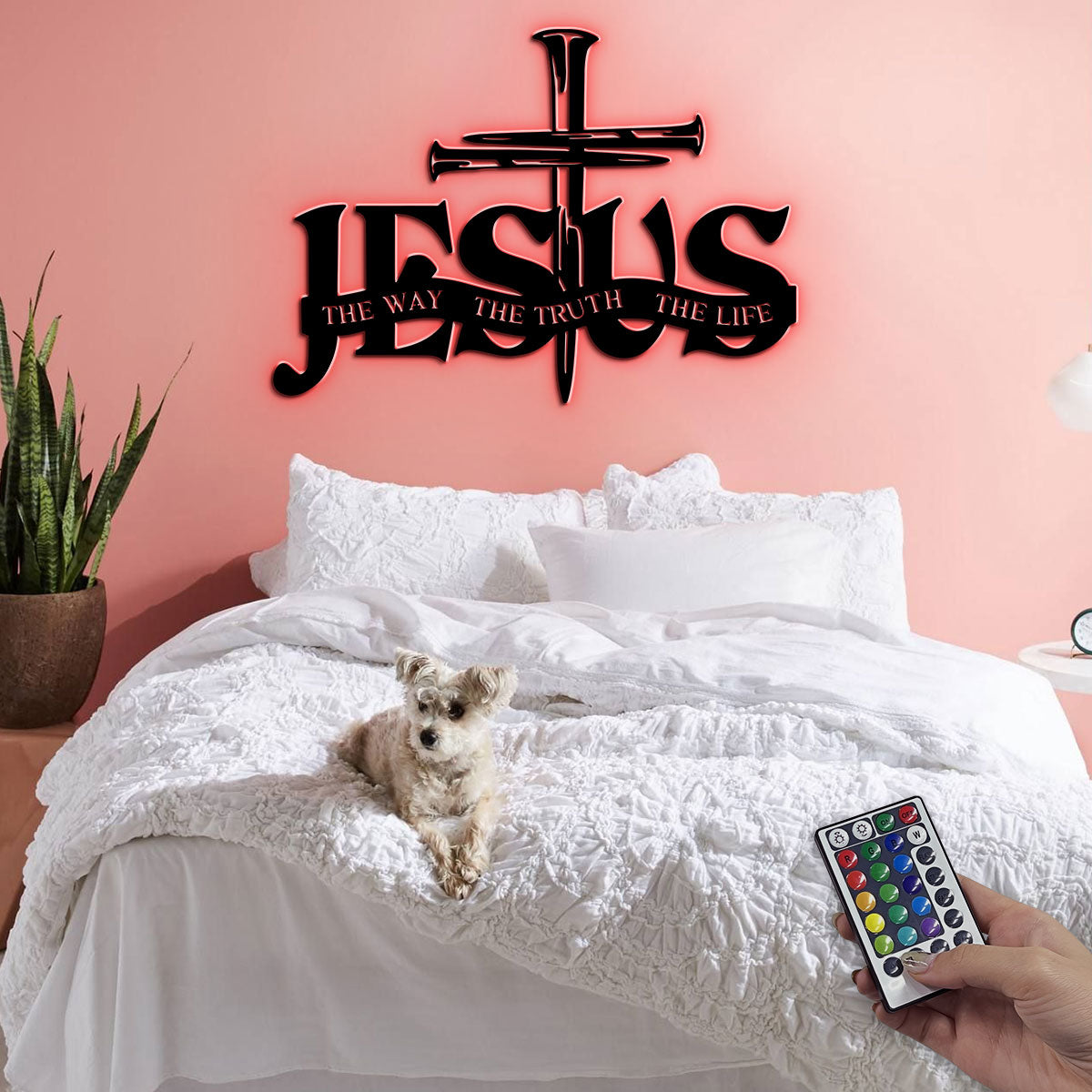 Jesus The Way The Truth The Life Black Plastic License Plate Frame – Front/Rear Unbranded