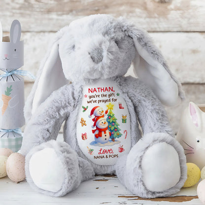 You're The Gift I've Prayed For - Personalized Stuffed Bunny