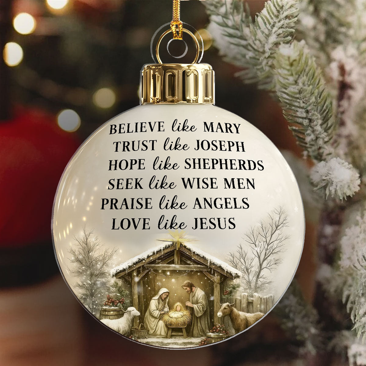 w6.jpg