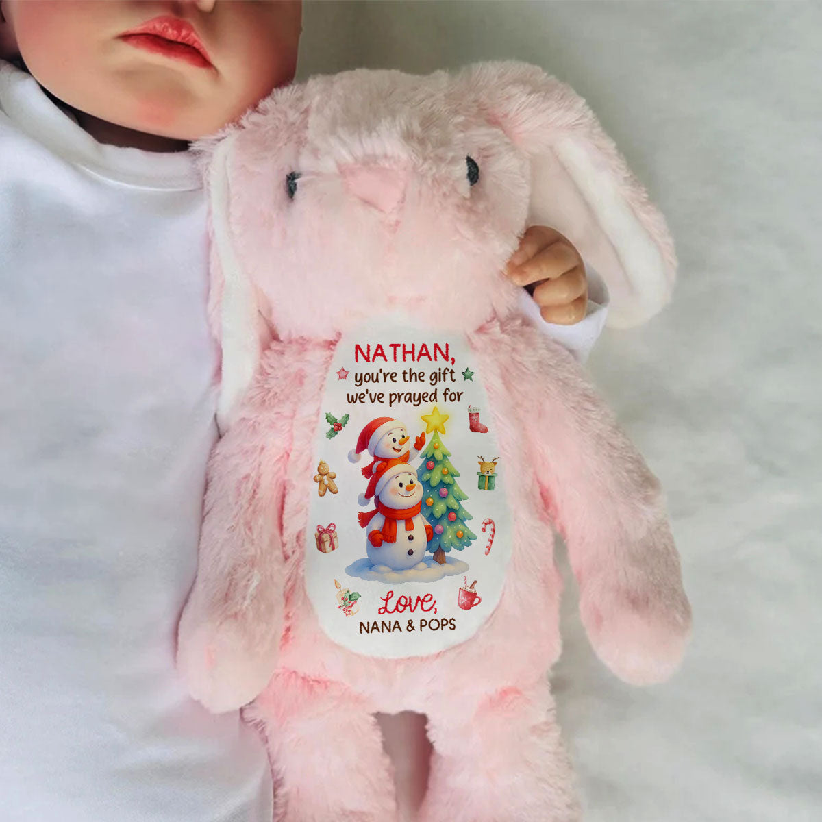You're The Gift I've Prayed For - Personalized Stuffed Bunny