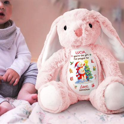 You're The Gift I've Prayed For - Personalized Stuffed Bunny