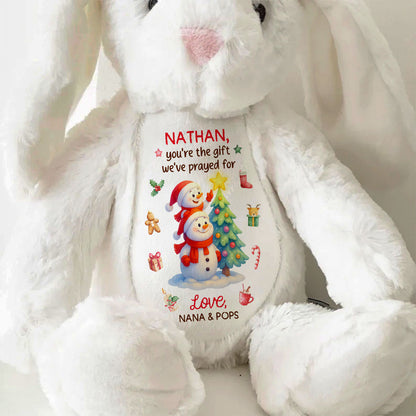 You're The Gift I've Prayed For - Personalized Stuffed Bunny